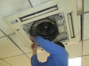 河源家電經(jīng)銷商拓展家電清洗服務(wù) 增收新機遇與實施策略